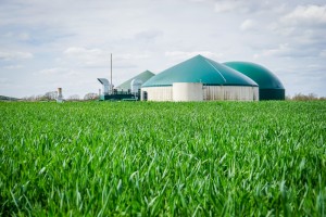 Biogasproduktion