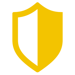 shield icon